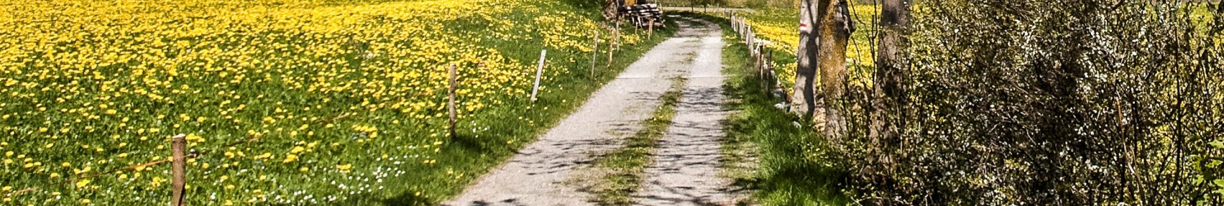 Akut- und Übergangspflege wird für längstens 14 Tage angeordnet.